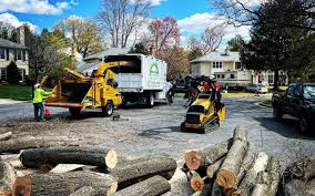 Best Artificial Turf Installation  in John Day, OR