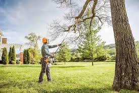 Lawn Watering Services in John Day, OR